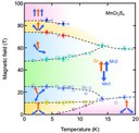 Miyata-etal-2020-fig4.jpg